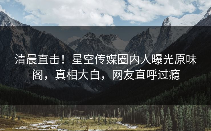 清晨直击！星空传媒圈内人曝光原味阁，真相大白，网友直呼过瘾