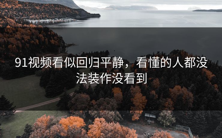 91视频看似回归平静，看懂的人都没法装作没看到